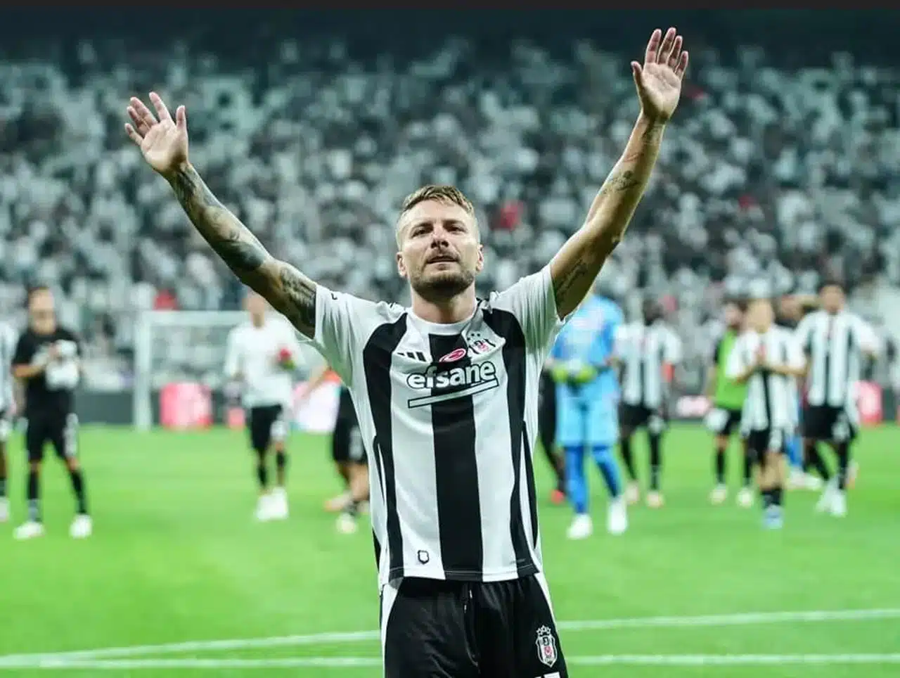 Immobile ile ipler kopuyor!