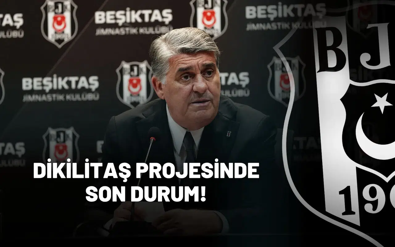 Dikilitaş Projesinde Son Durum