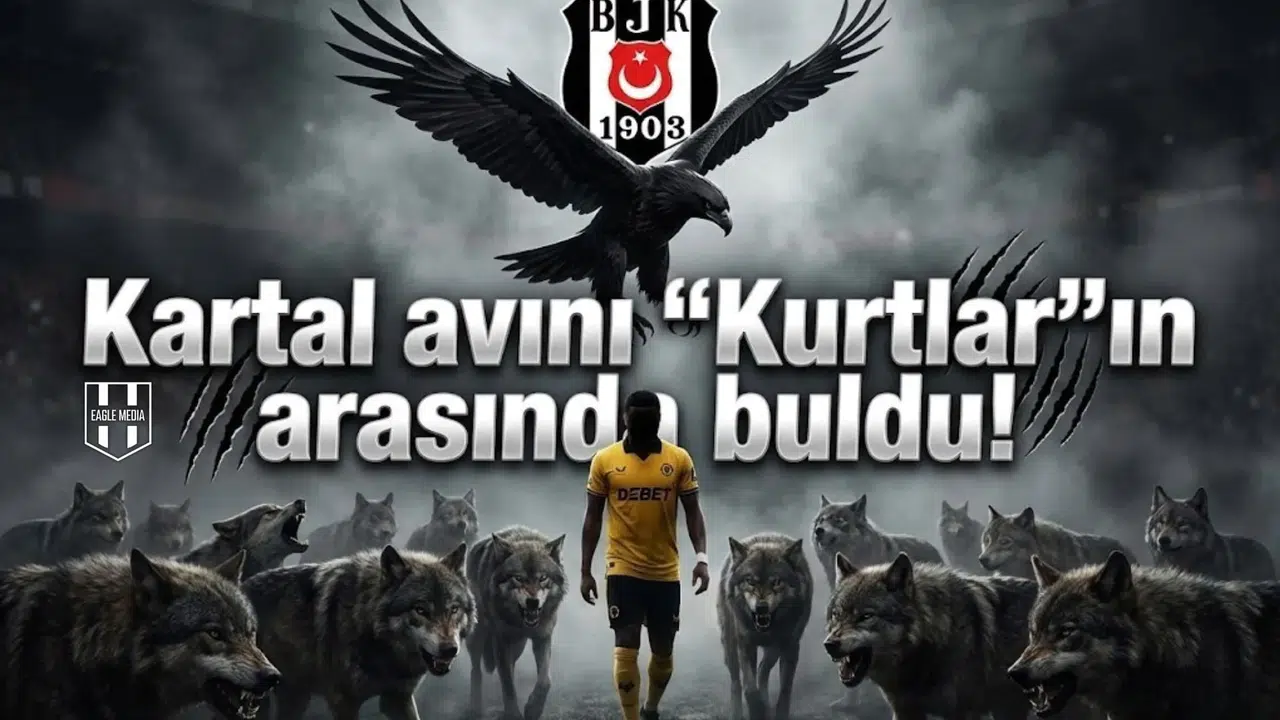 Kartal avını  Kurtlar ın arasında buldu!