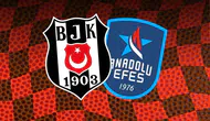 Beşiktaş GAİN Anadolu Efes karşısında