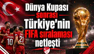 Dünya Kupası sonrası Türkiye'nin FIFA sıralaması netleşti