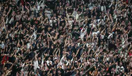 Beşiktaş - Kocaelispor Maçı Öncesi Tribünlerde Son Durum!