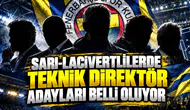 Sarı-lacivertlilerde teknik direktör adayları belli oluyor