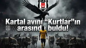 Kartal avını "Kurtlar"ın arasında buldu!