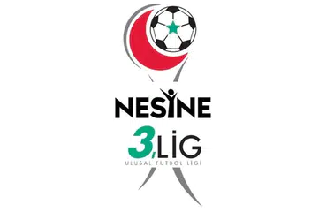 3. Lig'den TFF'ye '45 gün' şoku! Lige dev ara talebi