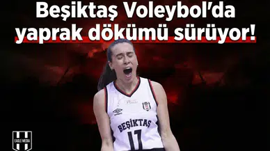 Beşiktaş Voleybol'da yaprak dökümü sürüyor! Bir ayrılık daha resmileşti