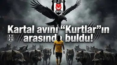 Kartal avını "Kurtlar"ın arasında buldu!