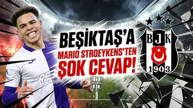 Beşiktaş'a Mario Stroeykens'ten şok cevap!