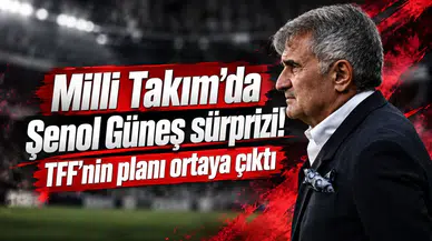Milli Takım'da Şenol Güneş sürprizi! TFF'nin planı ortaya çıktı
