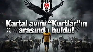 Kartal avını "Kurtlar"ın arasında buldu!