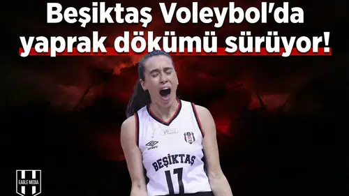 Beşiktaş Voleybol'da yaprak dökümü sürüyor! Bir ayrılık daha resmileşti