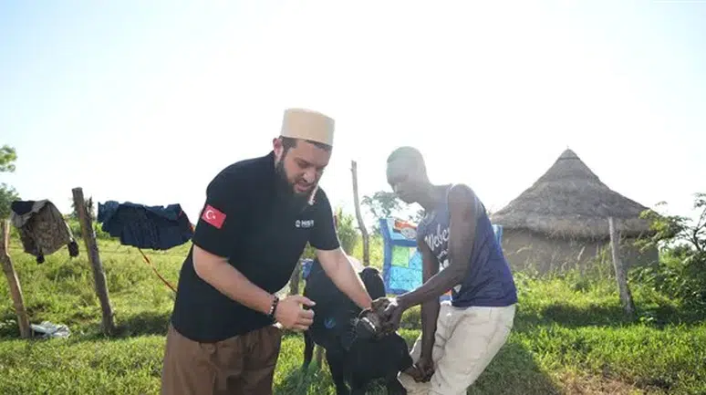 Kurban Bağışı Sadece Bayramla mı Sınırlı? Yıl Boyu Yapılan Kurban Türleri