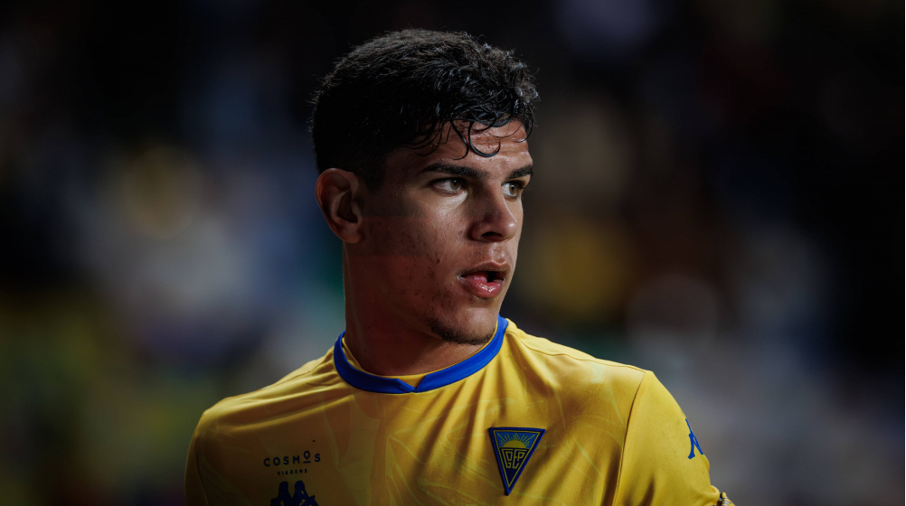 Mateus Fernandes Milli Takım Kariyeri