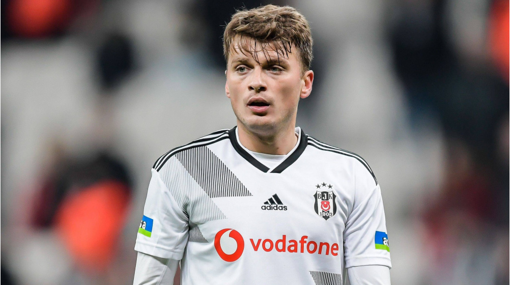 Adem Ljajic Kimdir