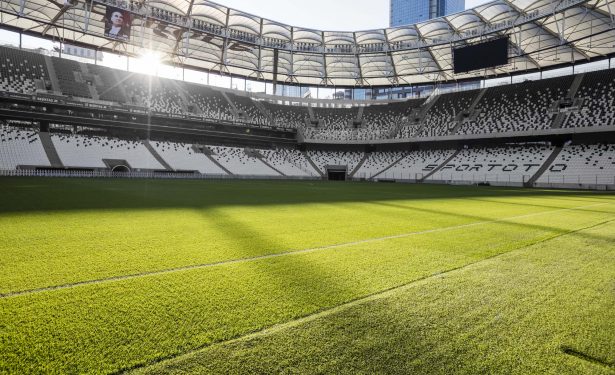 Çim Kalitesinin Oyun Etkisi