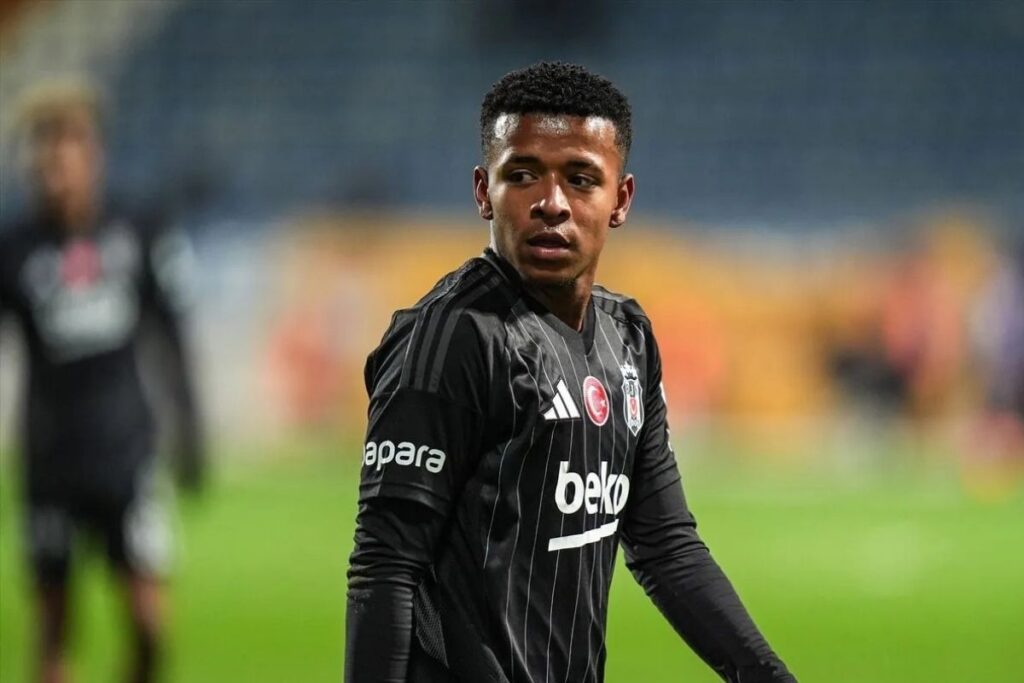 arroyo beşiktaş 