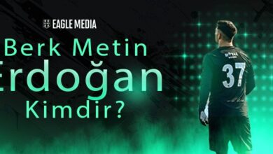 Berk Metin Erdoğan Kimdir