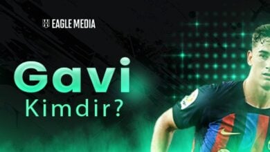 Gavi Kimdir