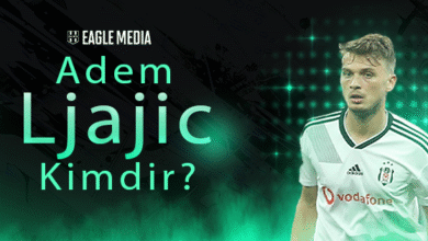 Ljajic