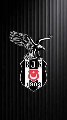 KaraKartal80 fotoğrafı