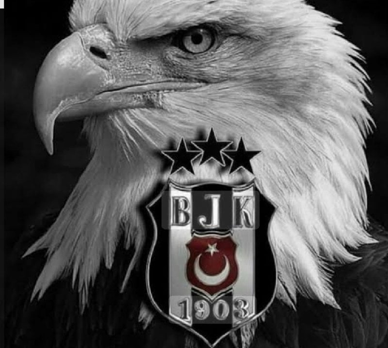 MTurkcan fotoğrafı