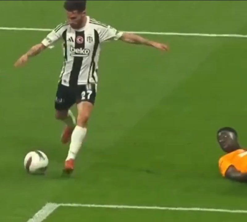 Berko🦅 fotoğrafı
