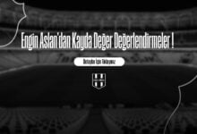 Engin Aslan'dan Kayda Değer Değerlendirmeler