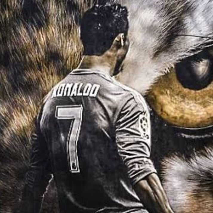 BJKTAYFA fotoğrafı
