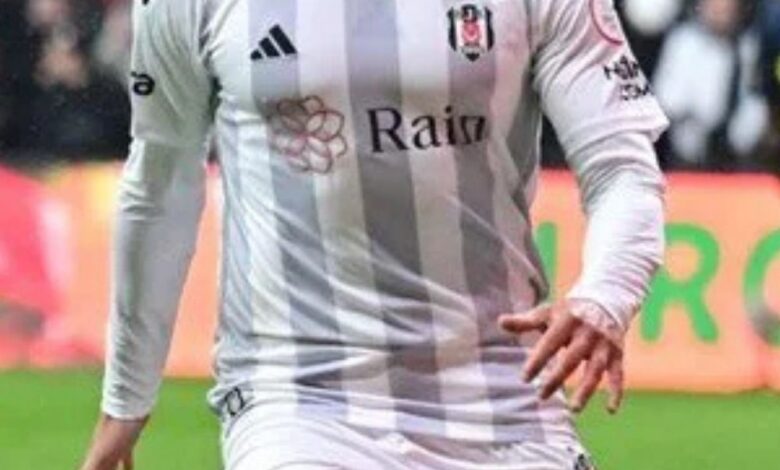 Chamberlain'in Beşiktaş Kariyeri