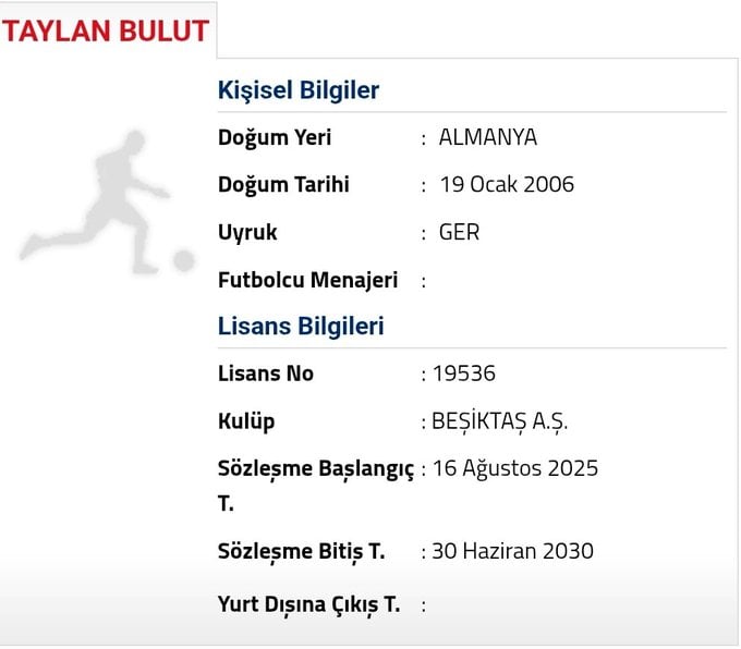 Taylan Bulut