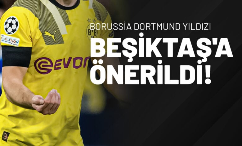 Borussia Dortmund Yıldızı Beşiktaş'a Önerildi!